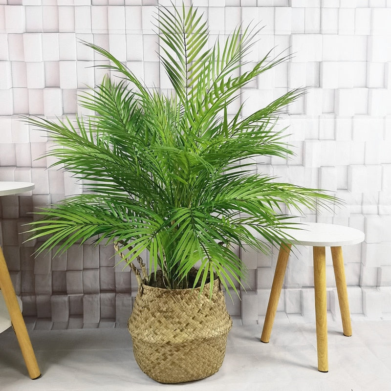 Palm Tree Green Realistic Tropical Plants Indoor